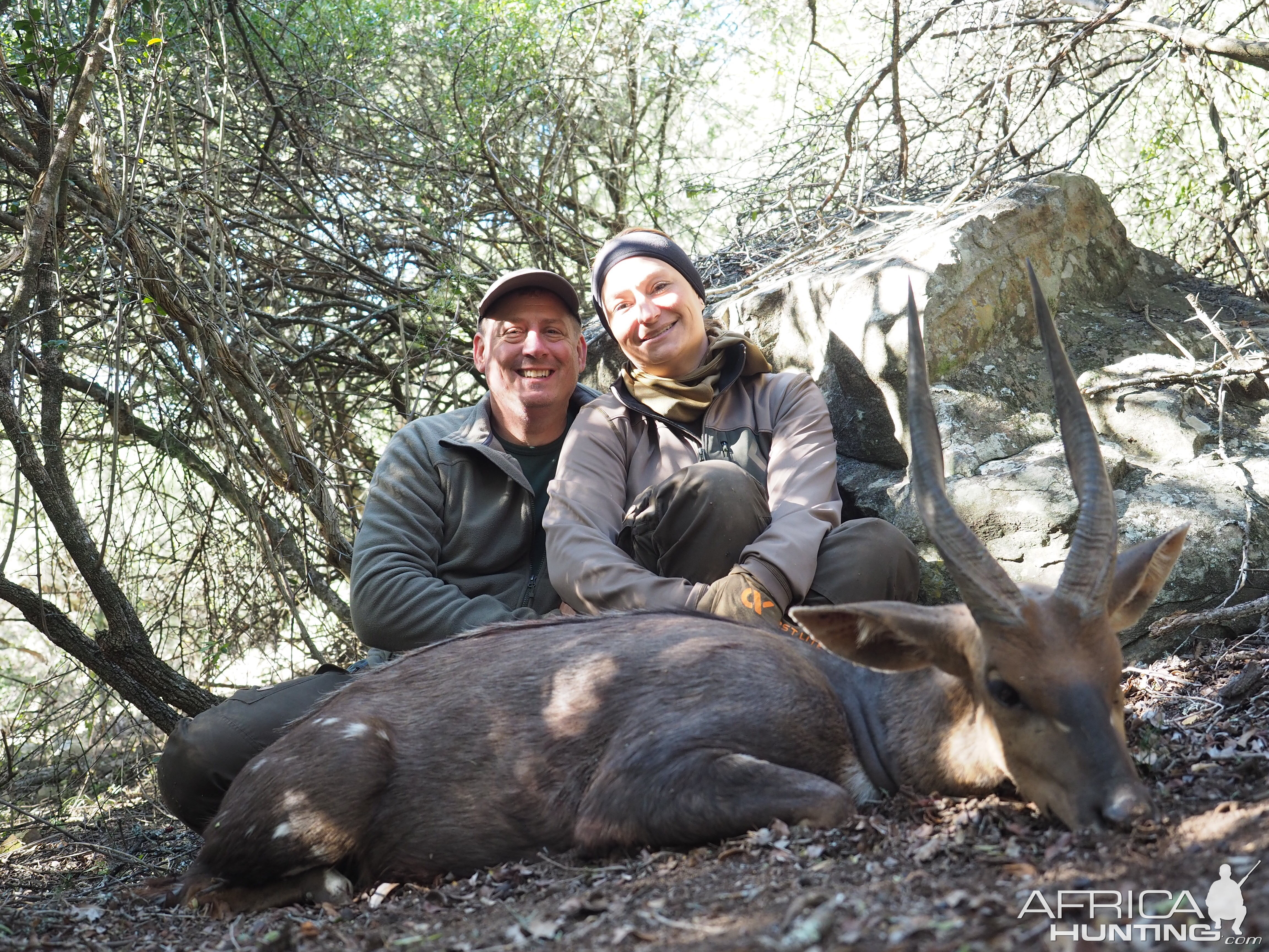 South Africa Hunting Bushbuck