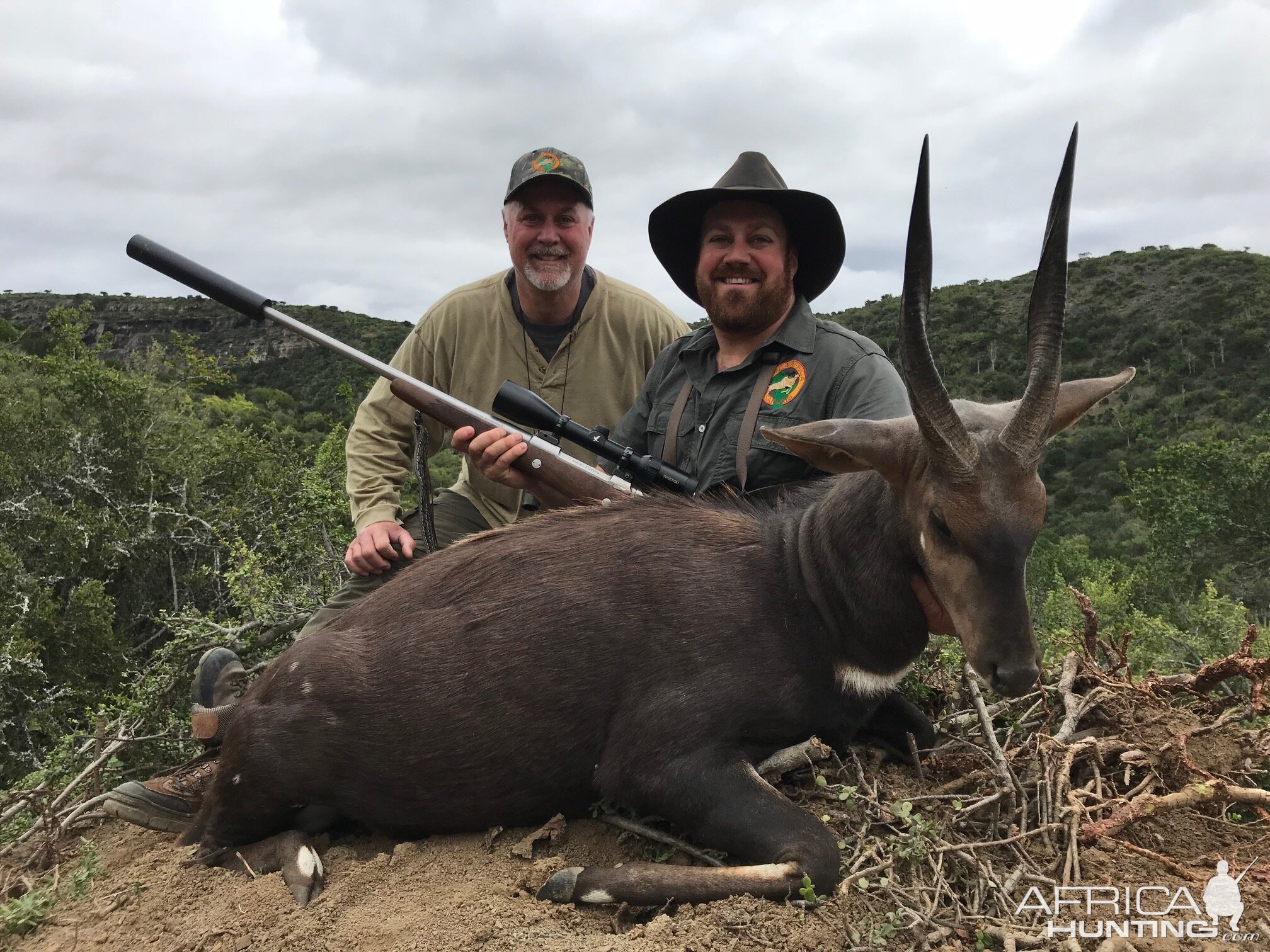 South Africa Hunting Bushbuck