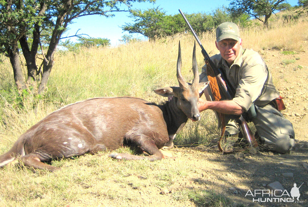 South Africa Hunting Bushbuck