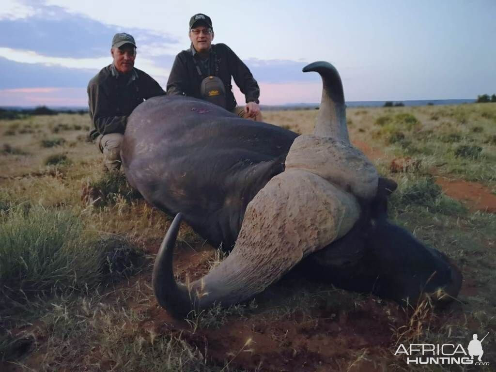 South Africa Hunting Cape Buffalo