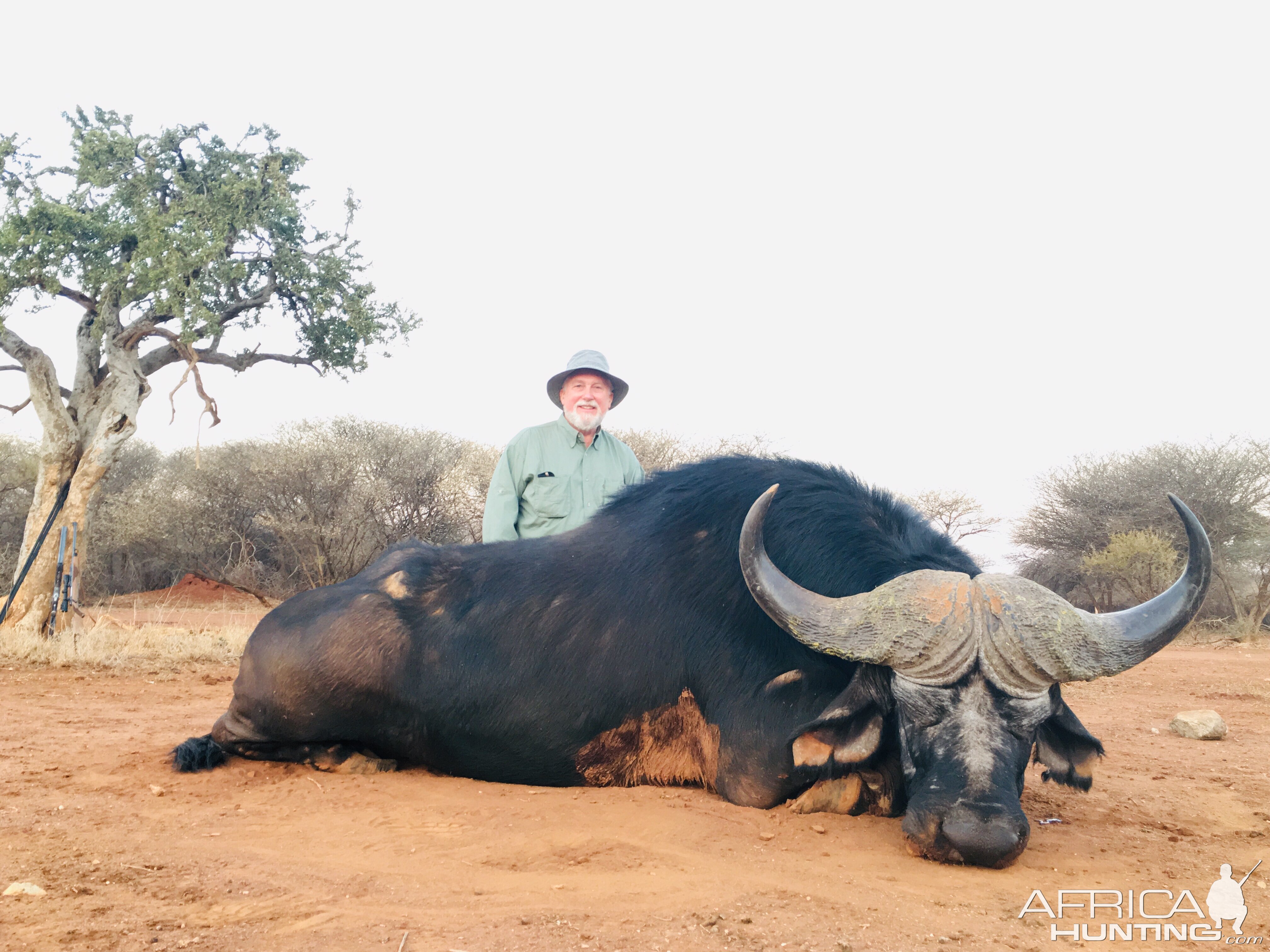 South Africa Hunting Cape Buffalo