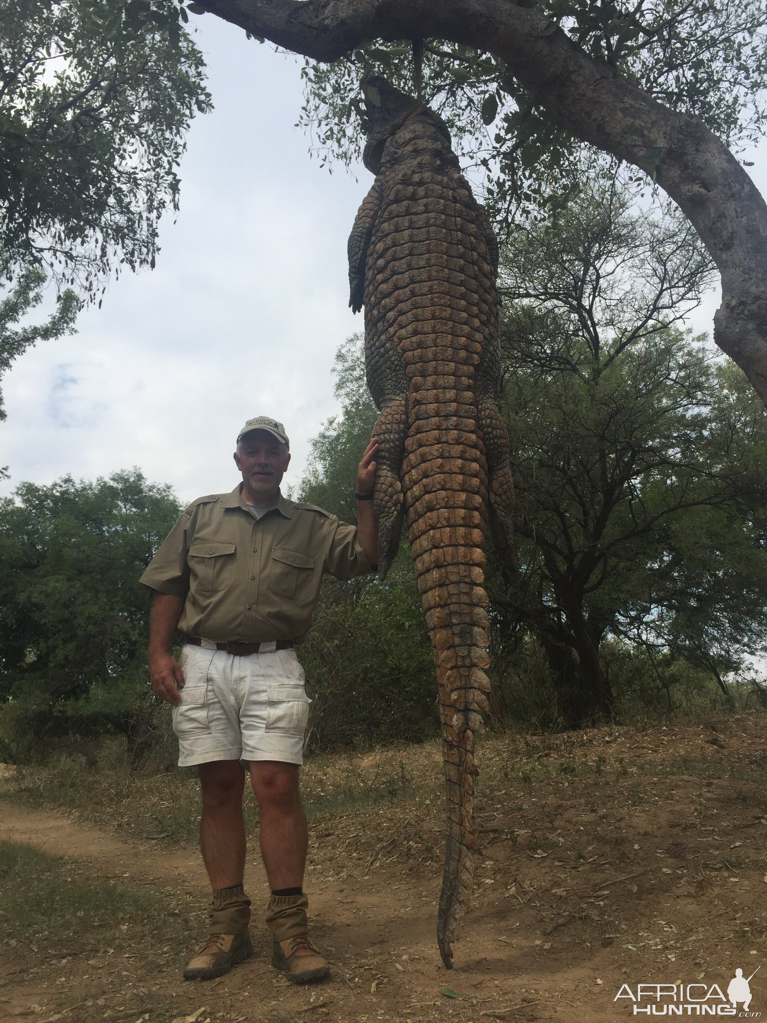 South Africa Hunting Crocodile