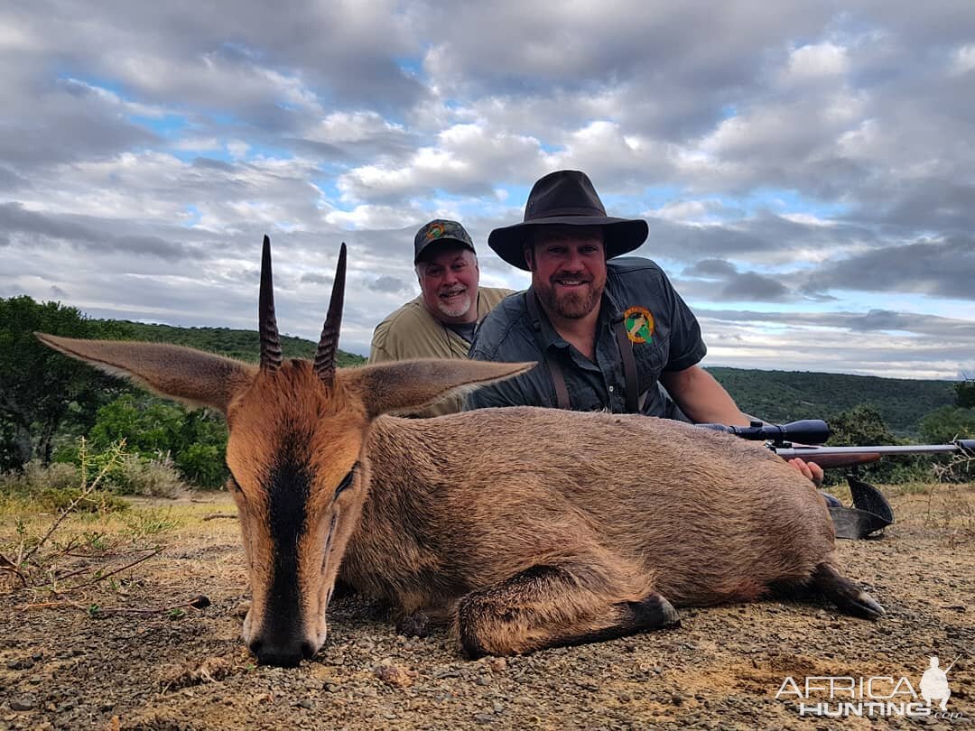 South Africa Hunting Duiker