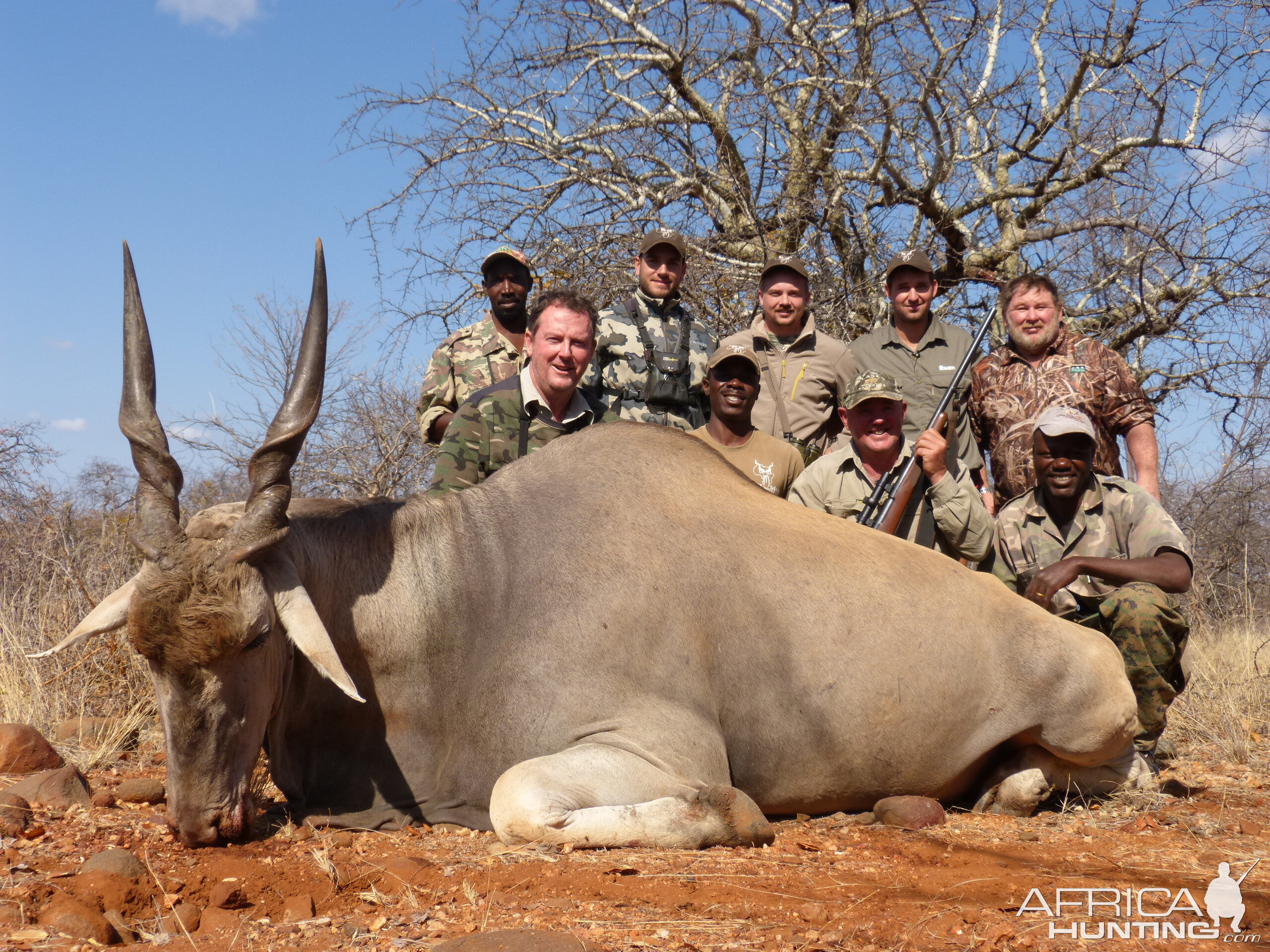 South Africa Hunting Eland