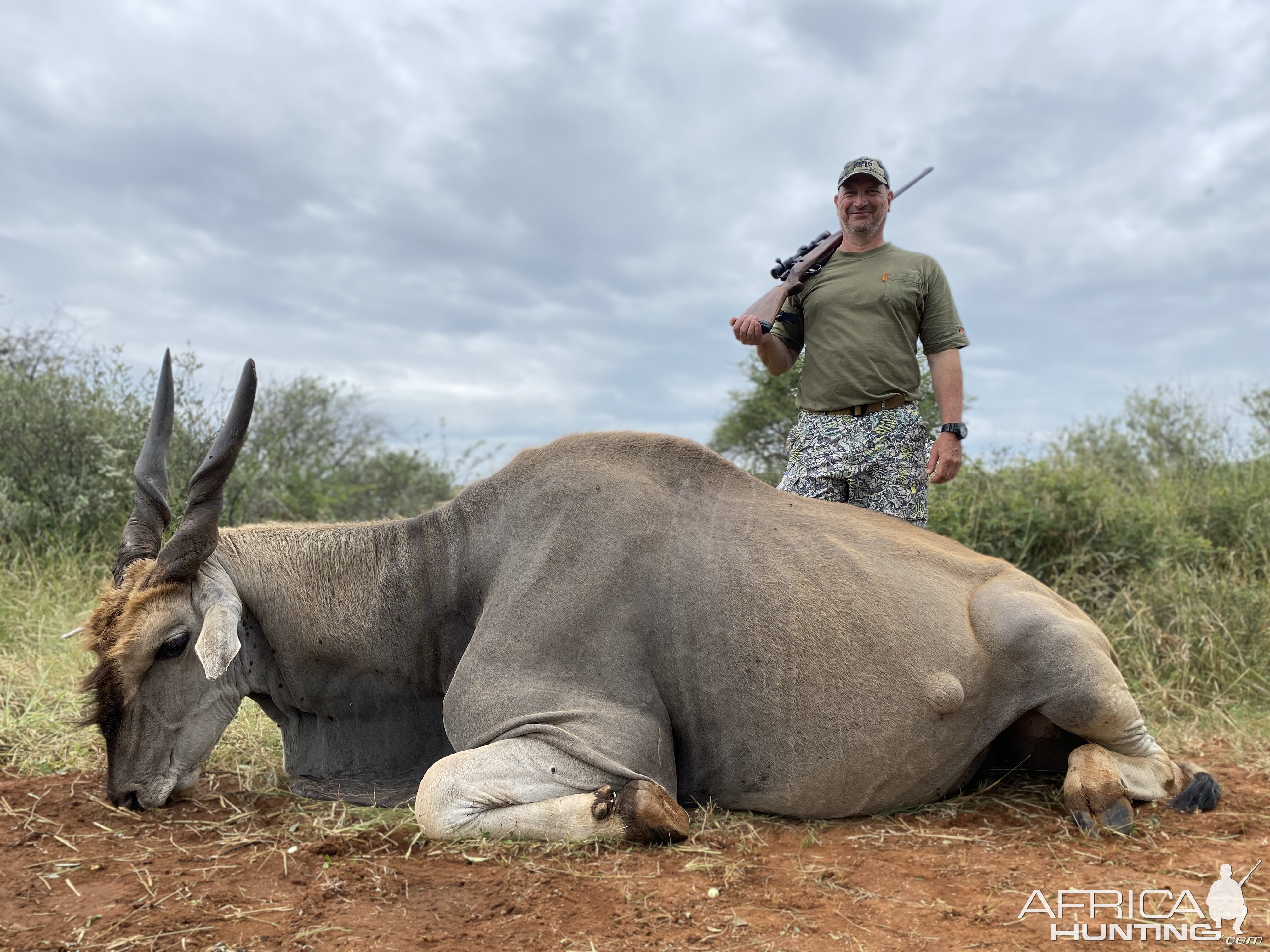 South Africa Hunting Eland