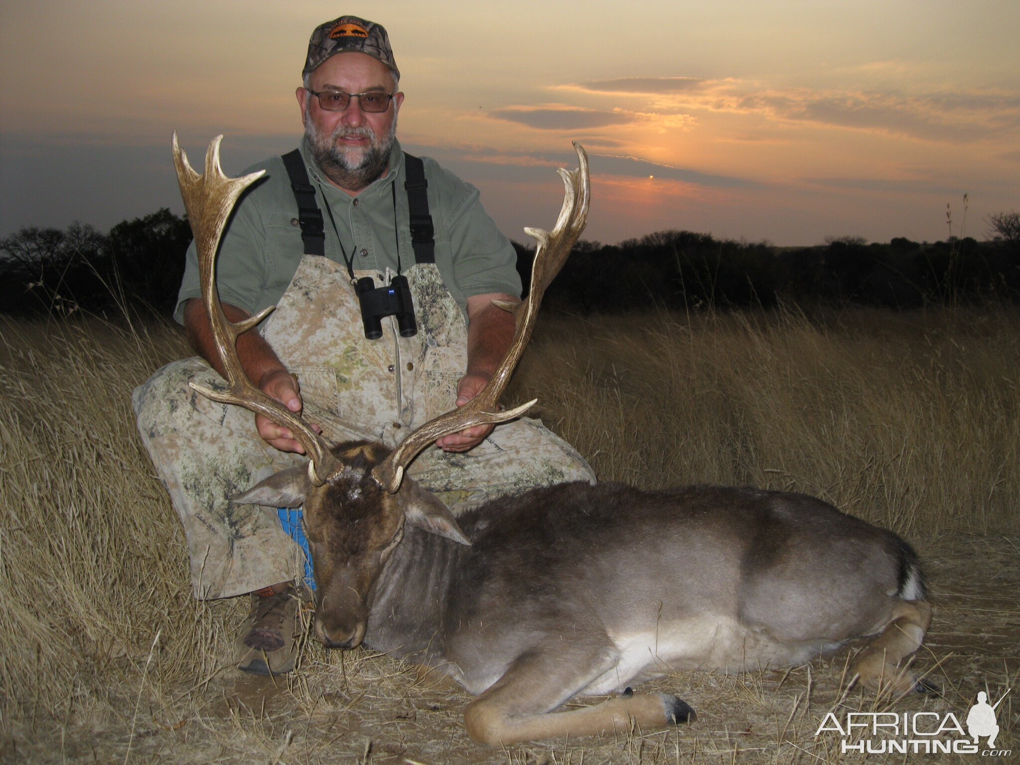 South Africa Hunting Fallow Deer