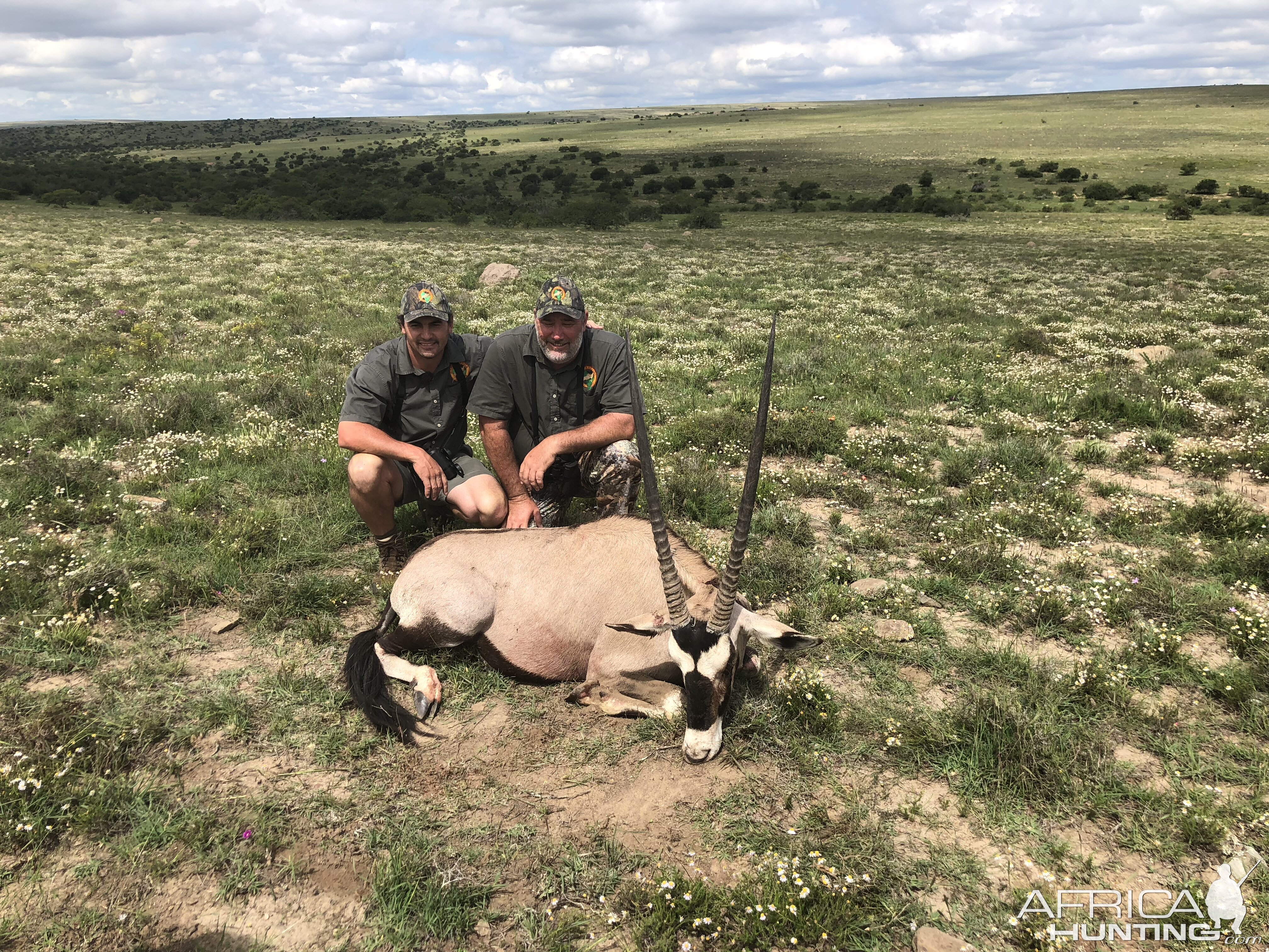 South Africa Hunting Gemsbok