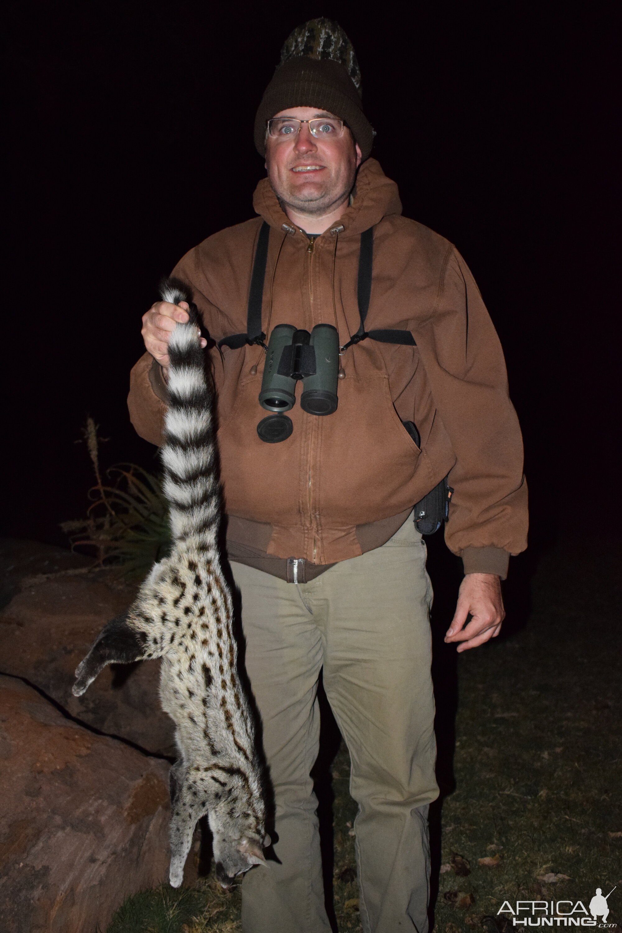 South Africa Hunting Genet Cat
