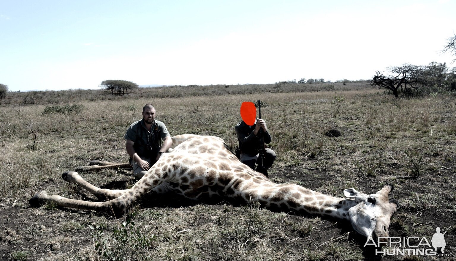 South Africa Hunting Giraffe