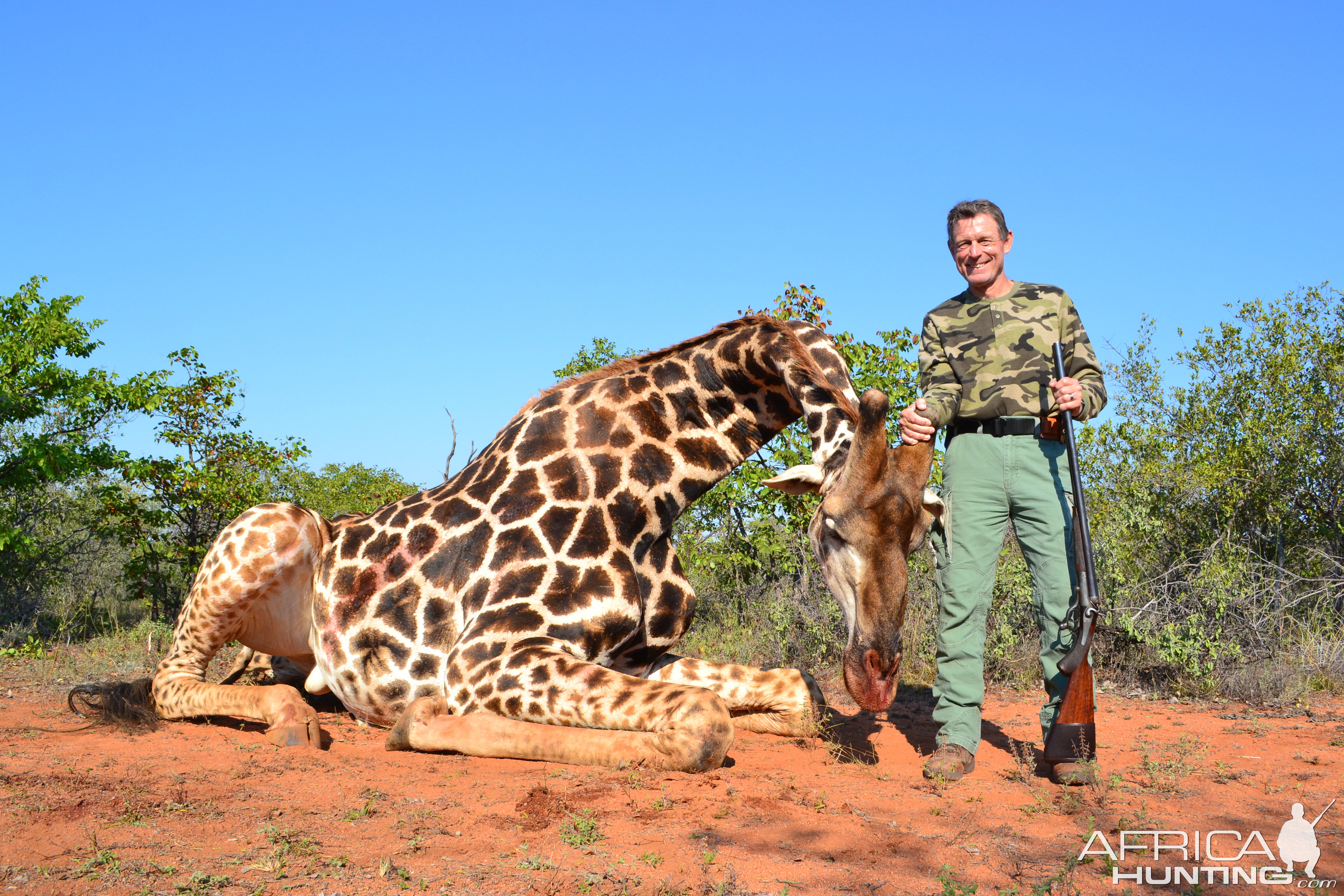 South Africa Hunting Giraffe