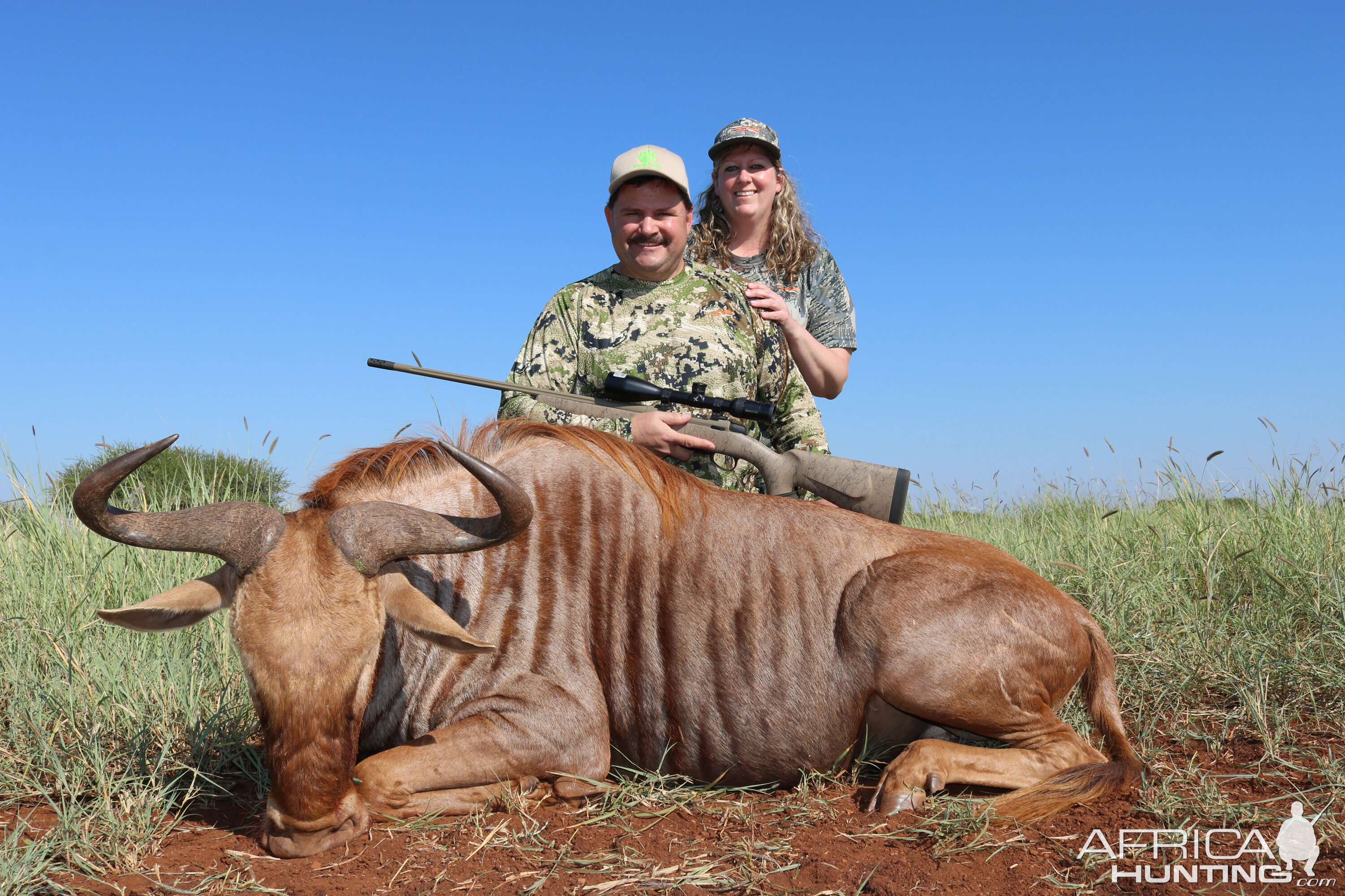 South Africa Hunting Golden Wildebeest