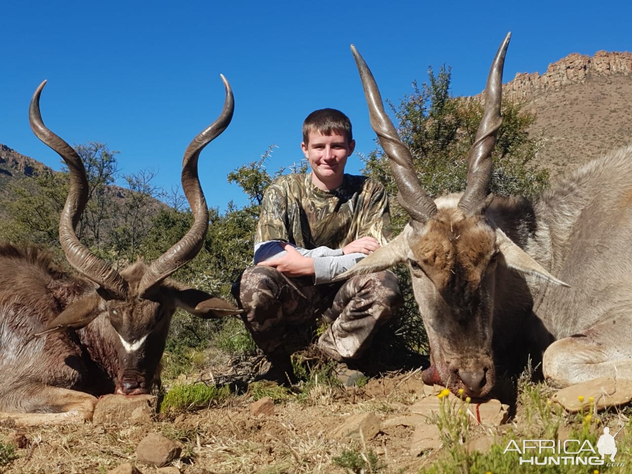 South Africa Hunting Kudu & Eland