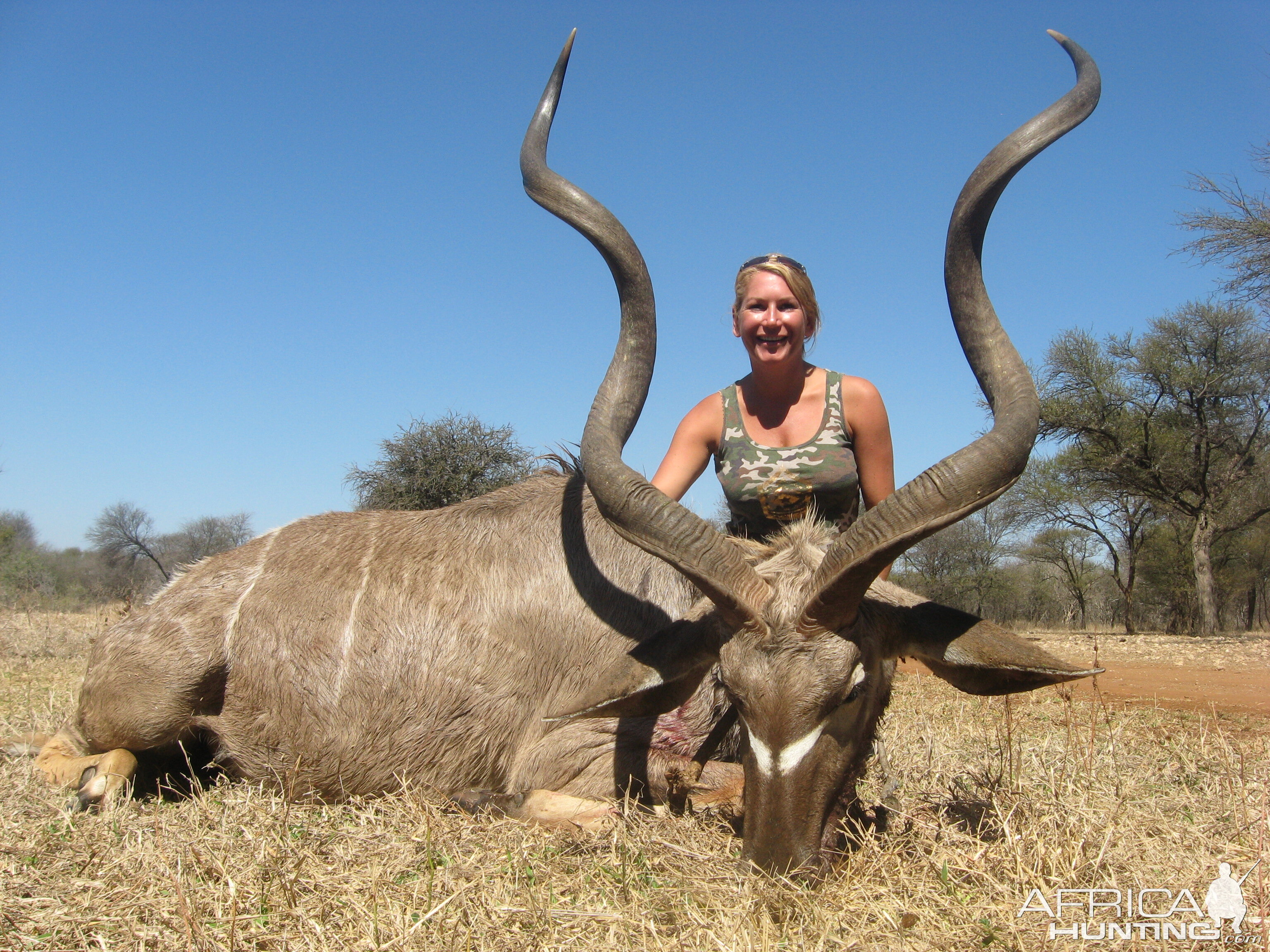 South Africa Hunting Kudu