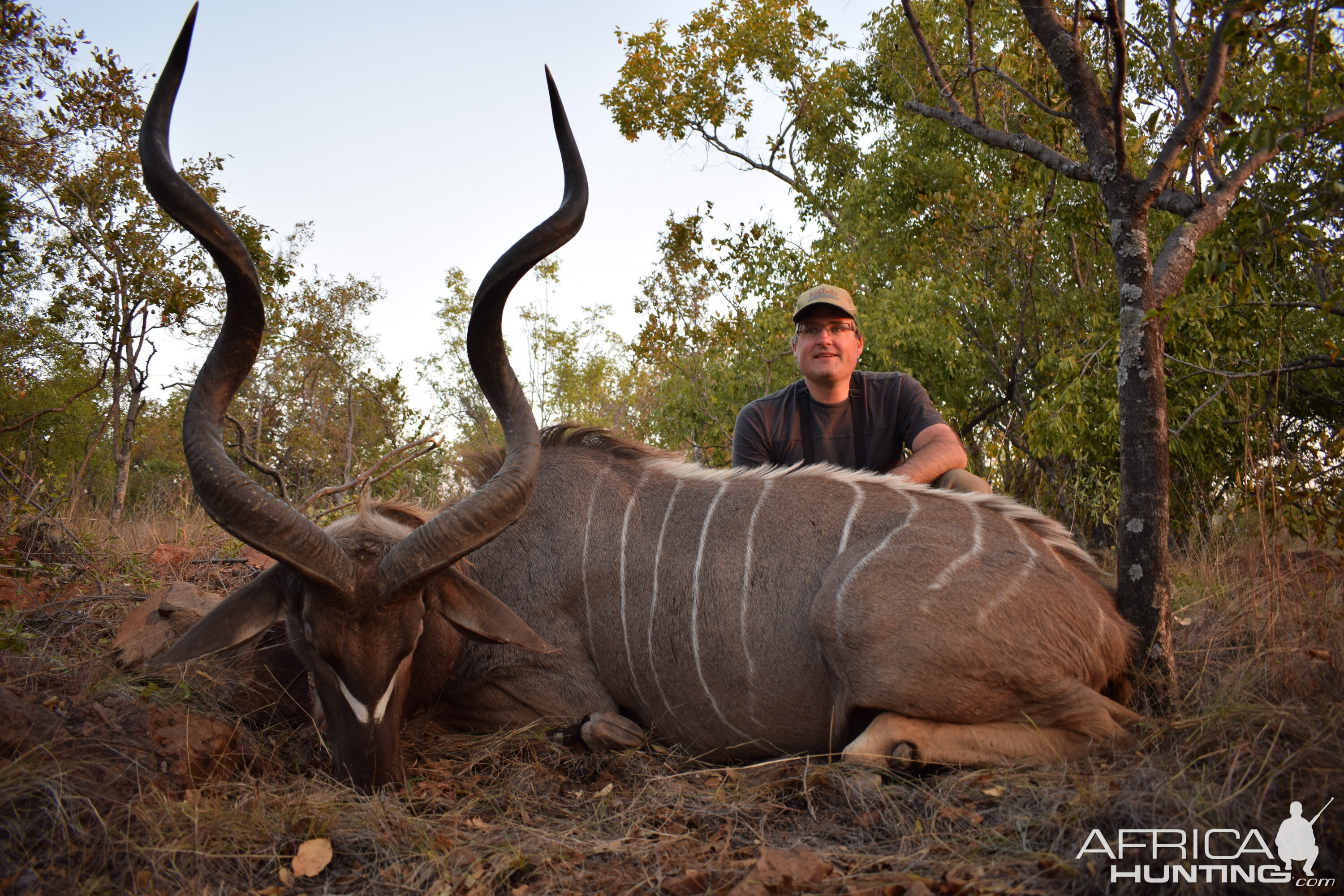 South Africa Hunting Kudu