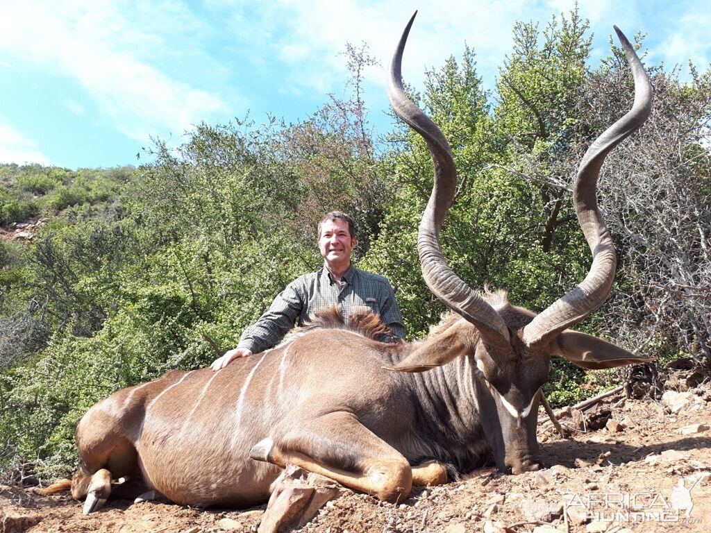 South Africa Hunting Kudu
