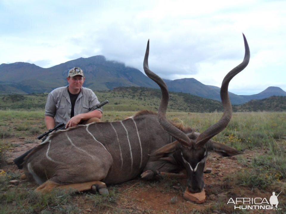 South Africa Hunting Kudu