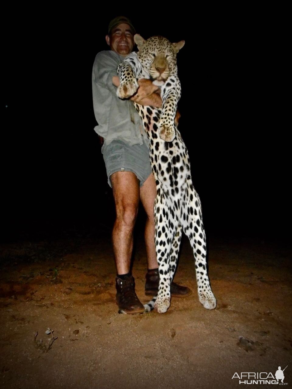 South Africa Hunting Leopard