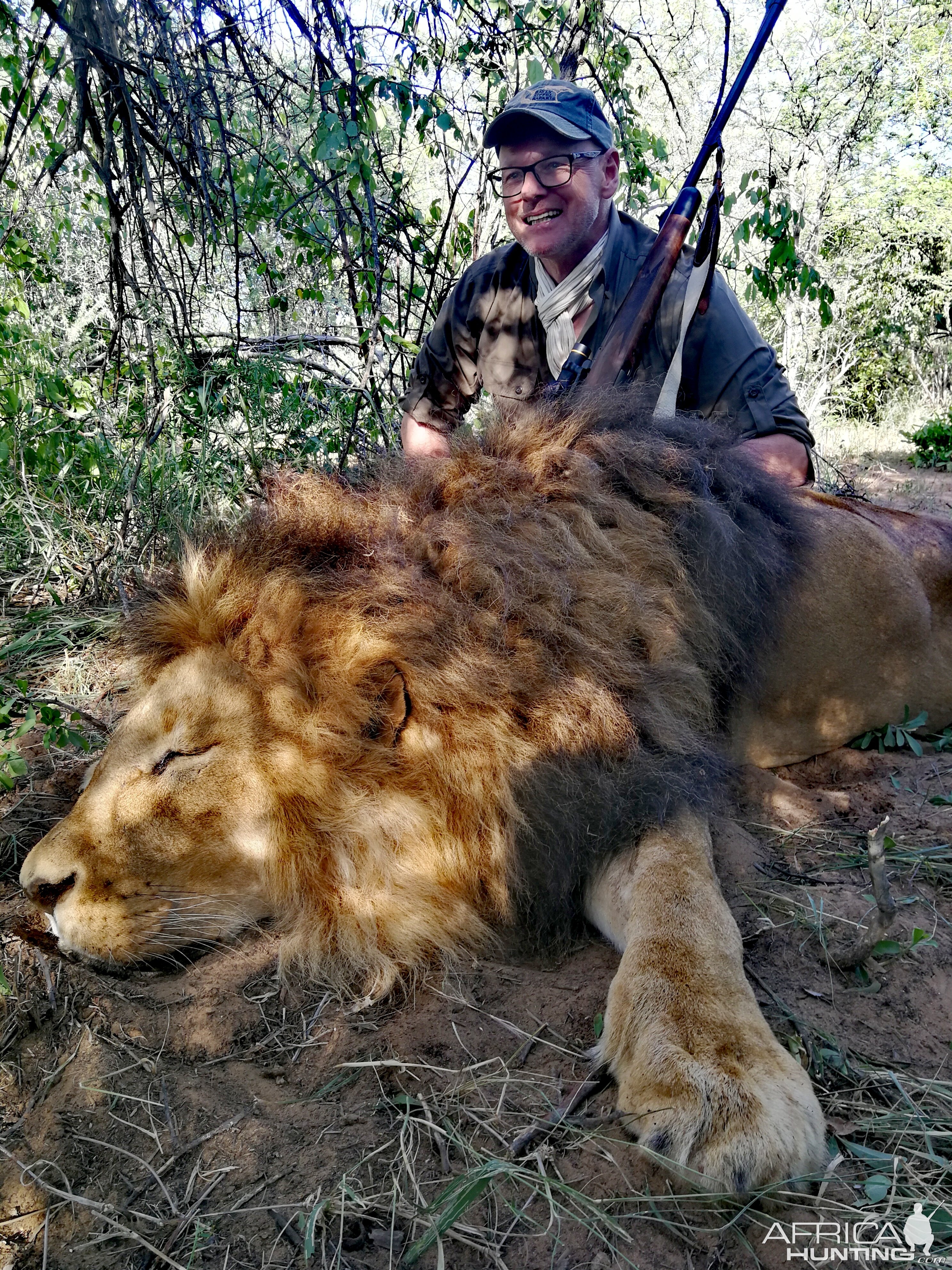 South Africa Hunting Lion