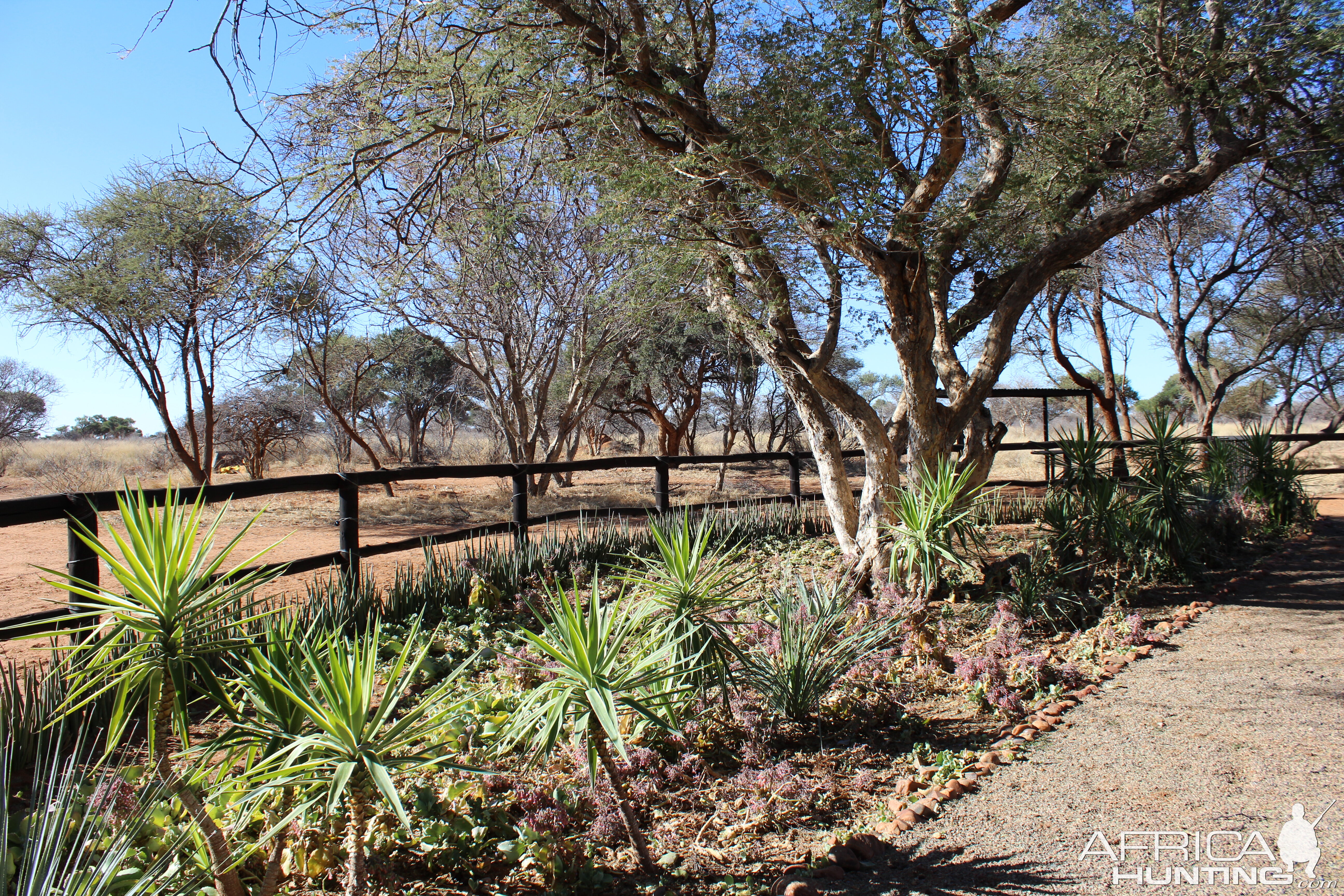 South Africa Hunting Lodge