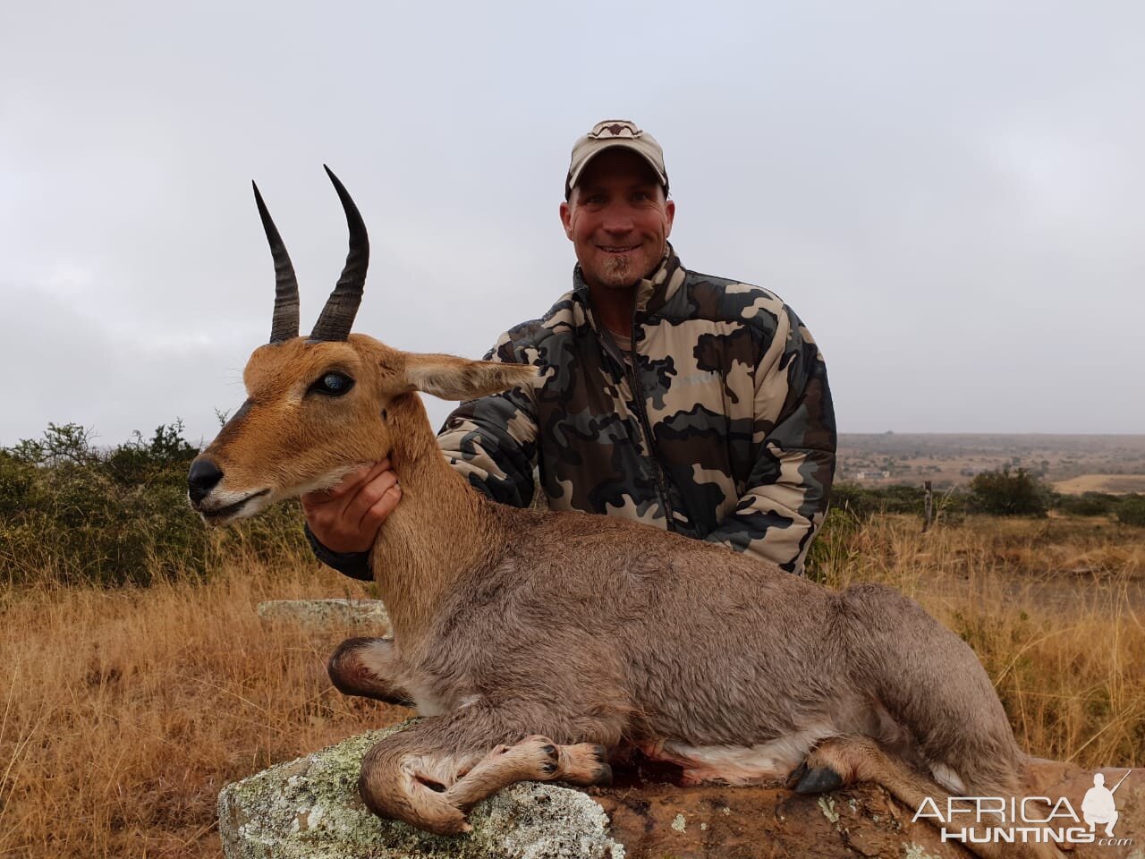 South Africa Hunting Mountain Reedbuck