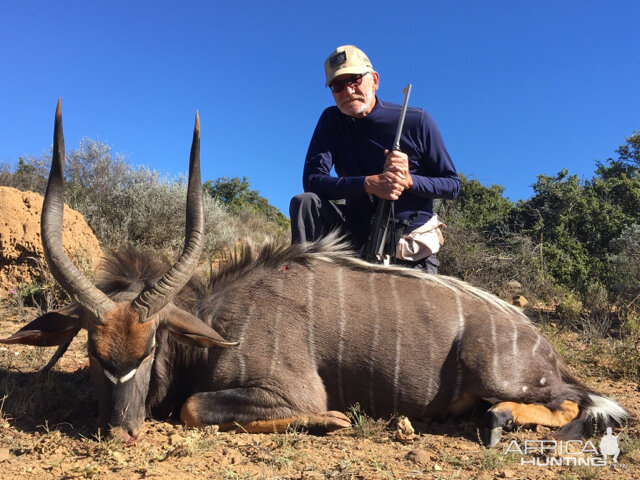 South Africa Hunting Nyala