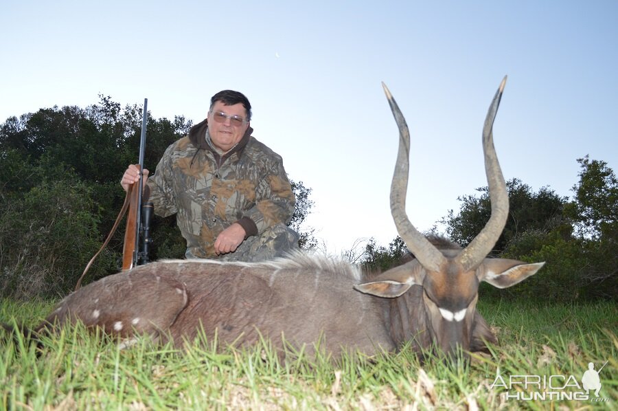 South Africa Hunting Nyala