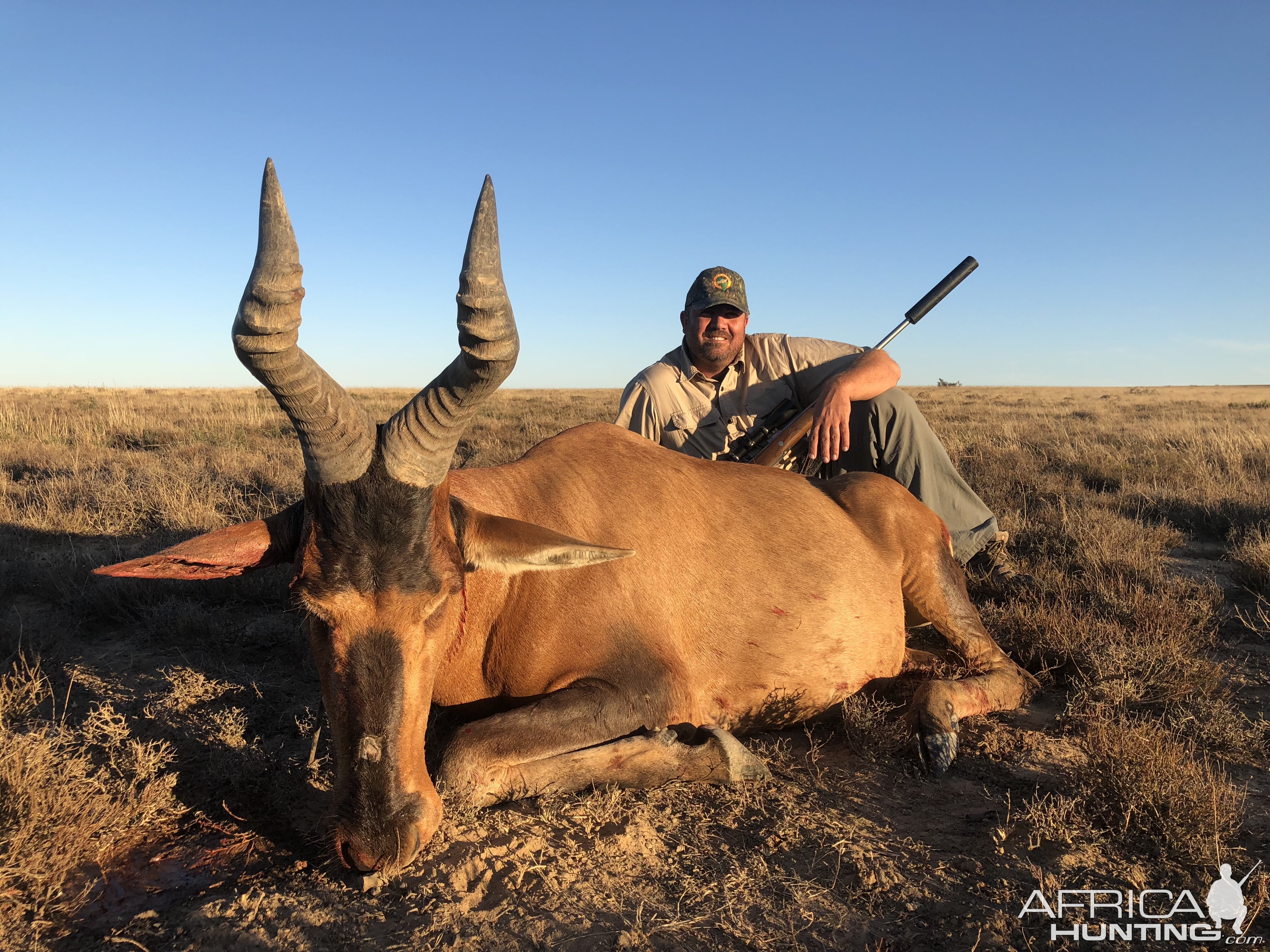 South Africa Hunting Red Hartebeest