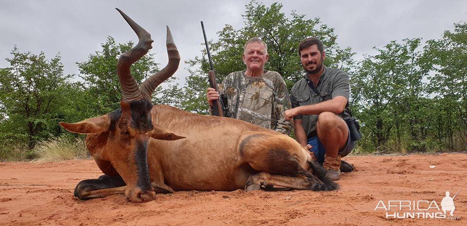 South Africa Hunting Red Hartebeest