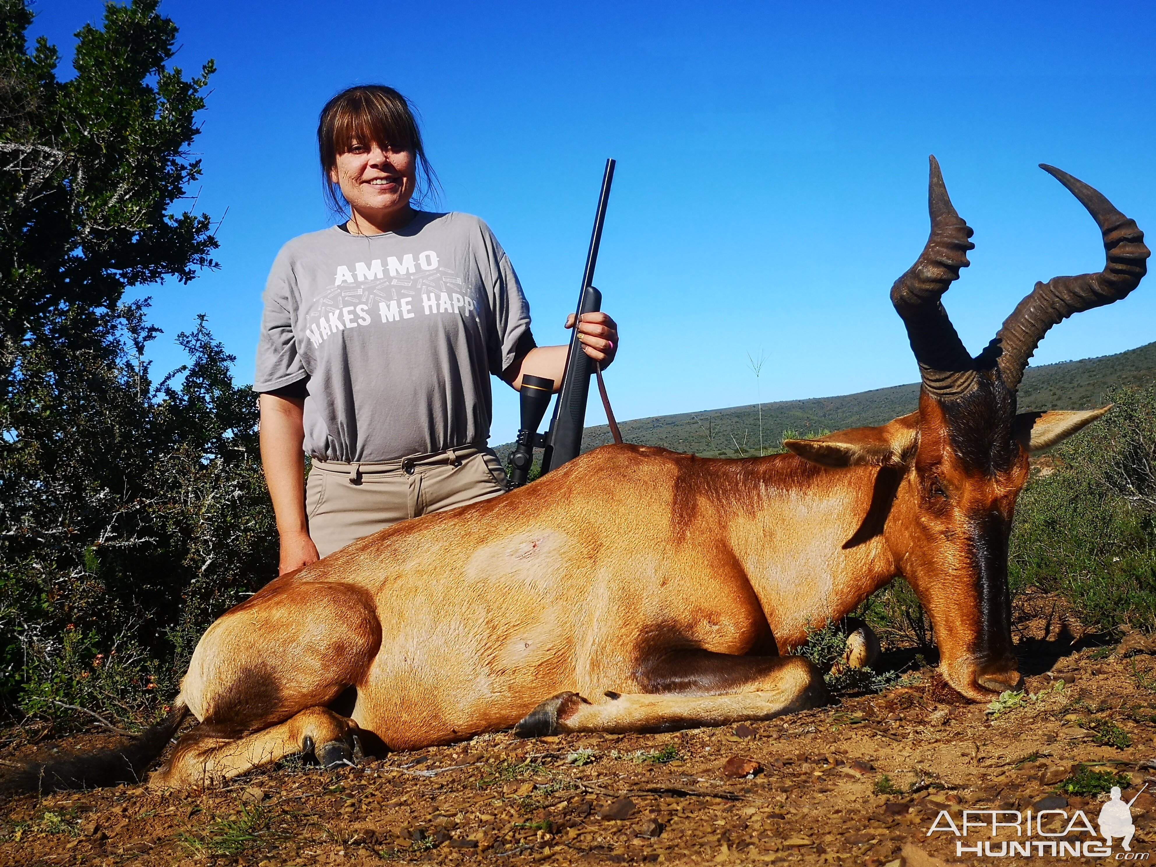 South Africa Hunting Red Hartebeest