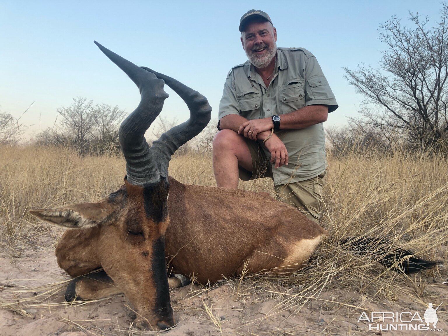 South Africa Hunting Red Hartebeest