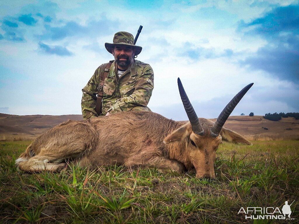 South Africa Hunting Reedbuck