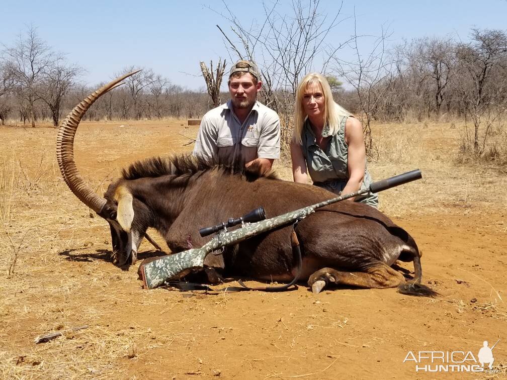 South Africa Hunting Sable Antelope