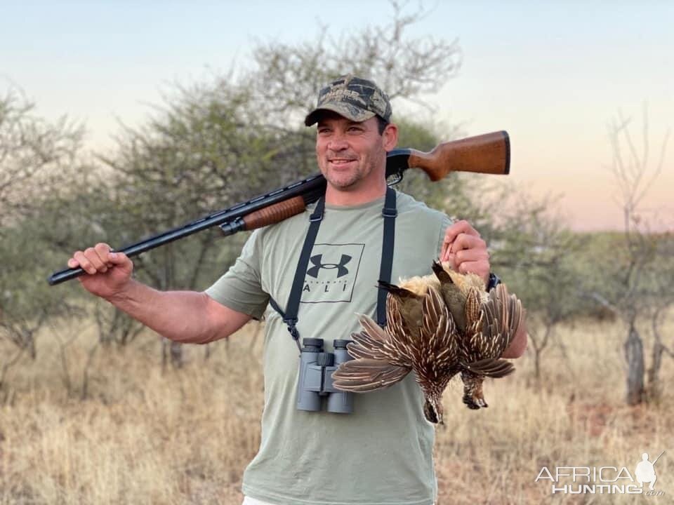 South Africa Hunting Sandgrouse