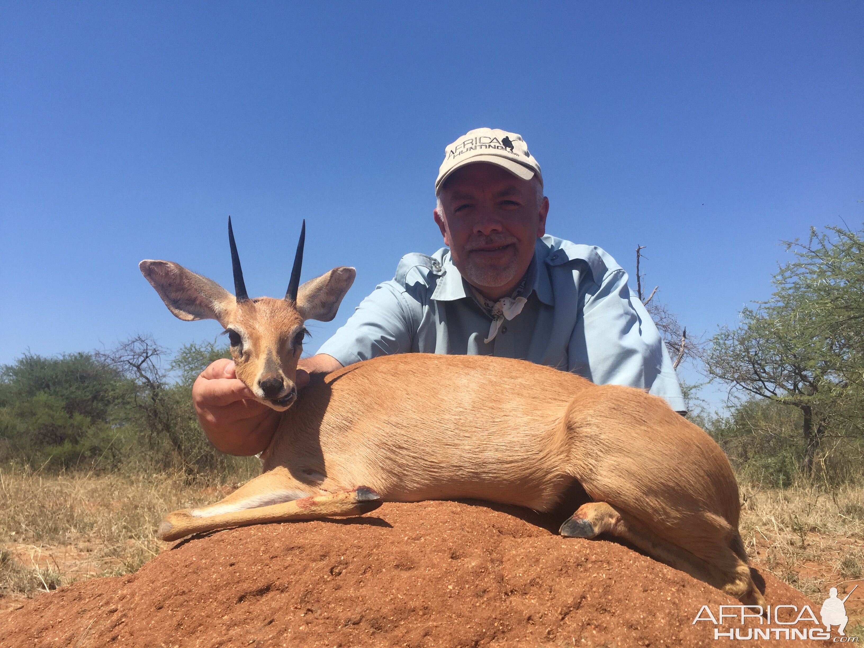 South Africa Hunting Steenbok