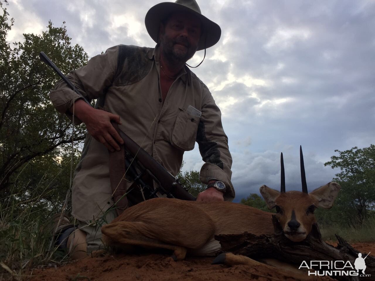 South Africa Hunting Steenbok