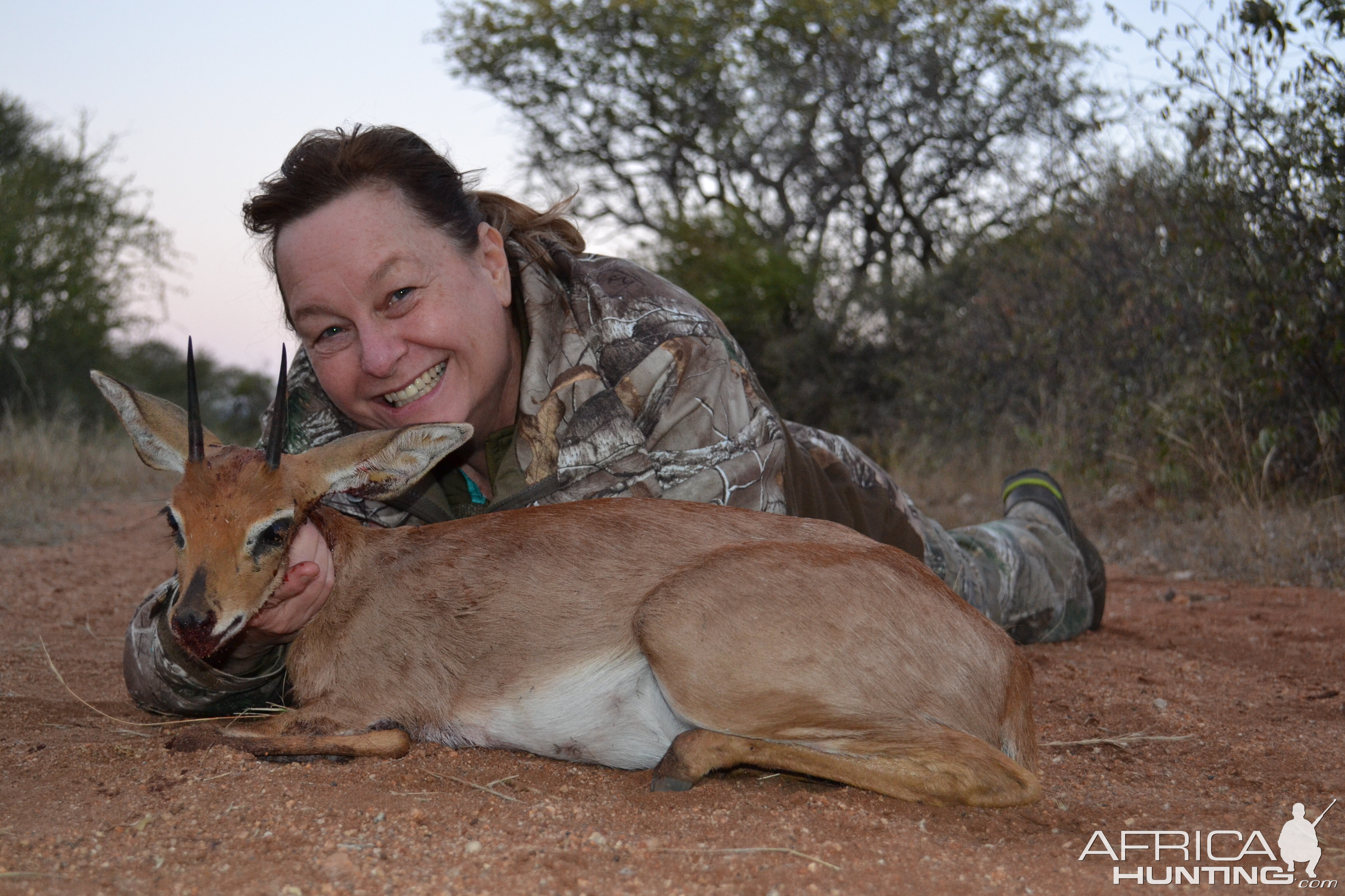 South Africa Hunting Steenbok