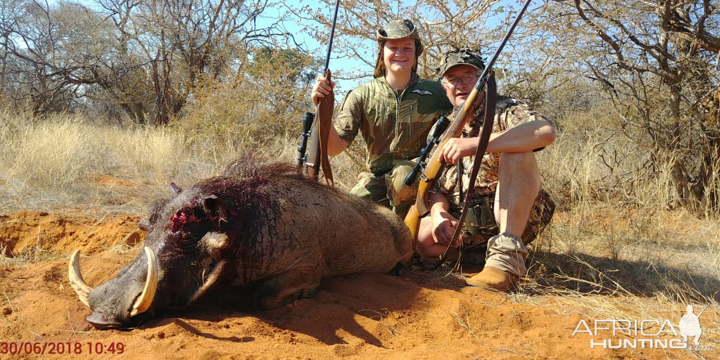 South Africa Hunting Warthog