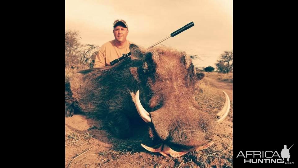 South Africa Hunting Warthog