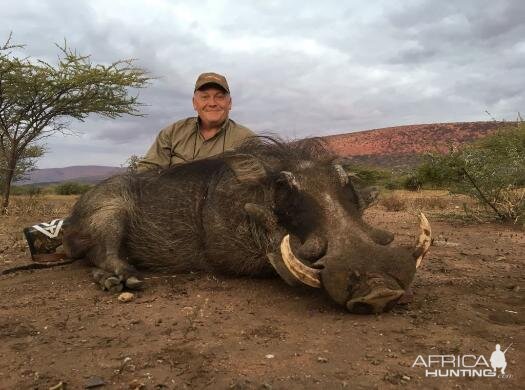 South Africa Hunting Warthog