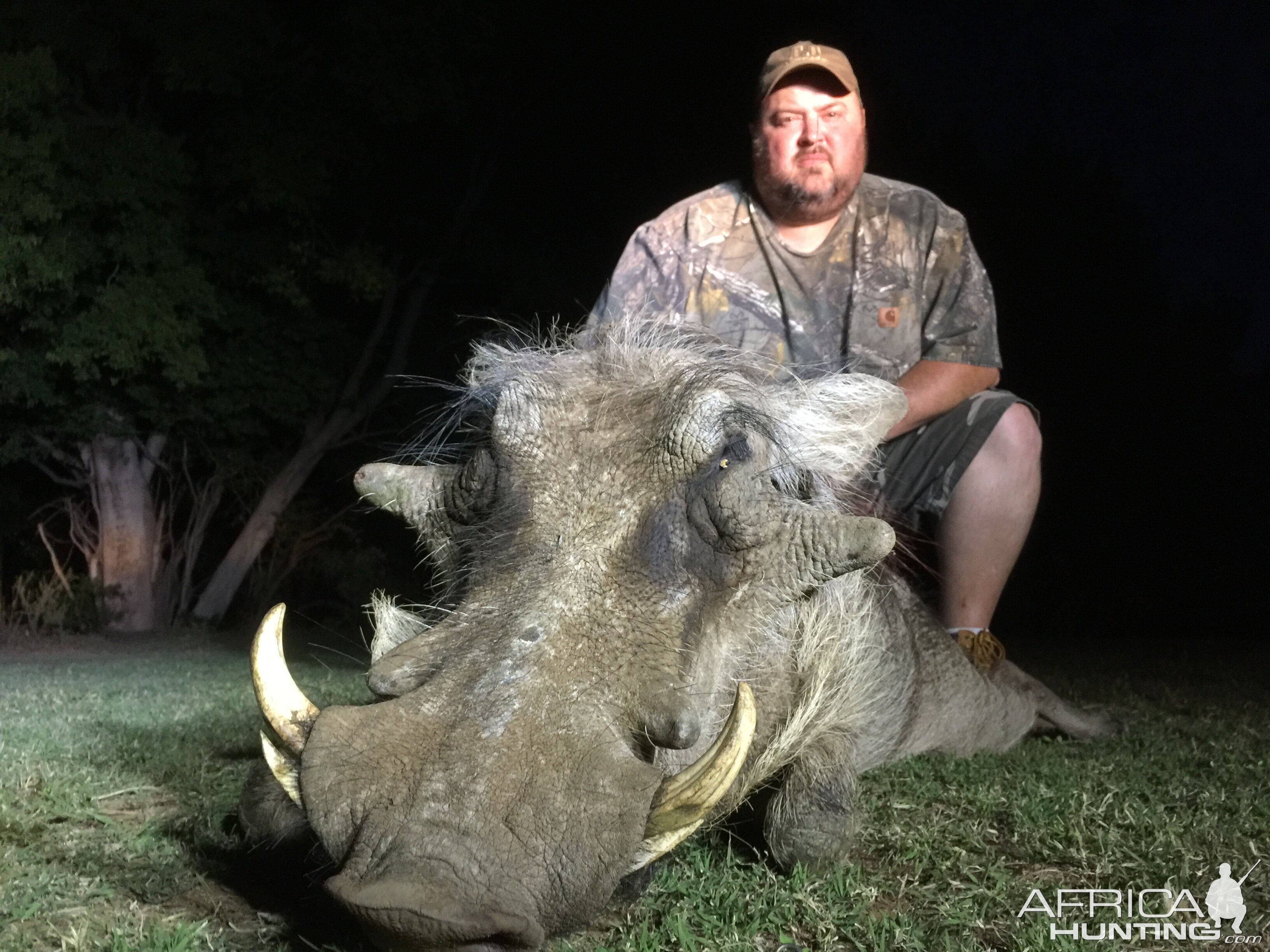 South Africa Hunting Warthog