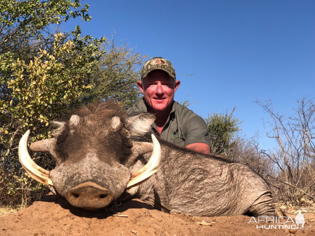 South Africa Hunting Warthog