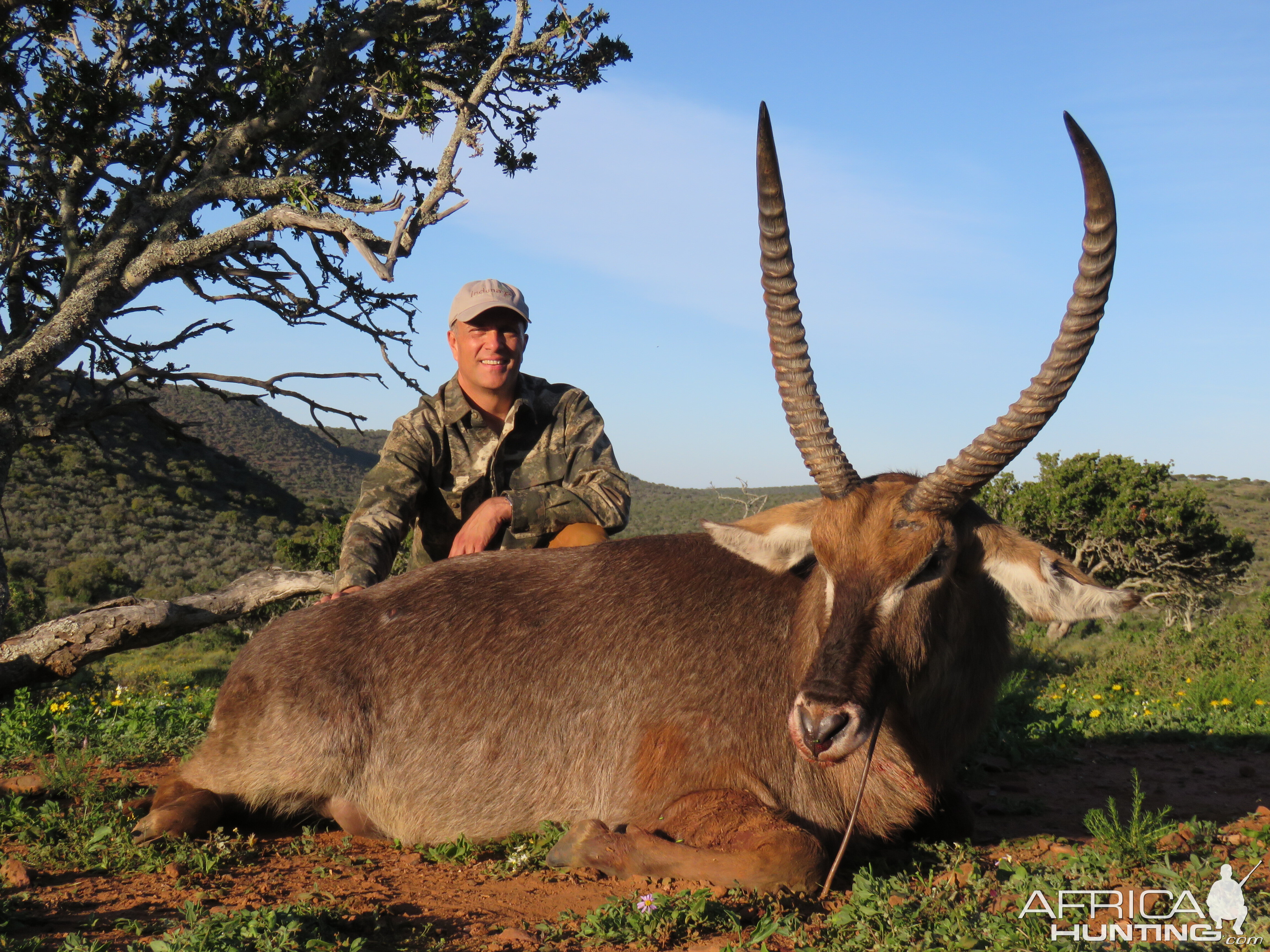 South Africa Hunting Waterbuck