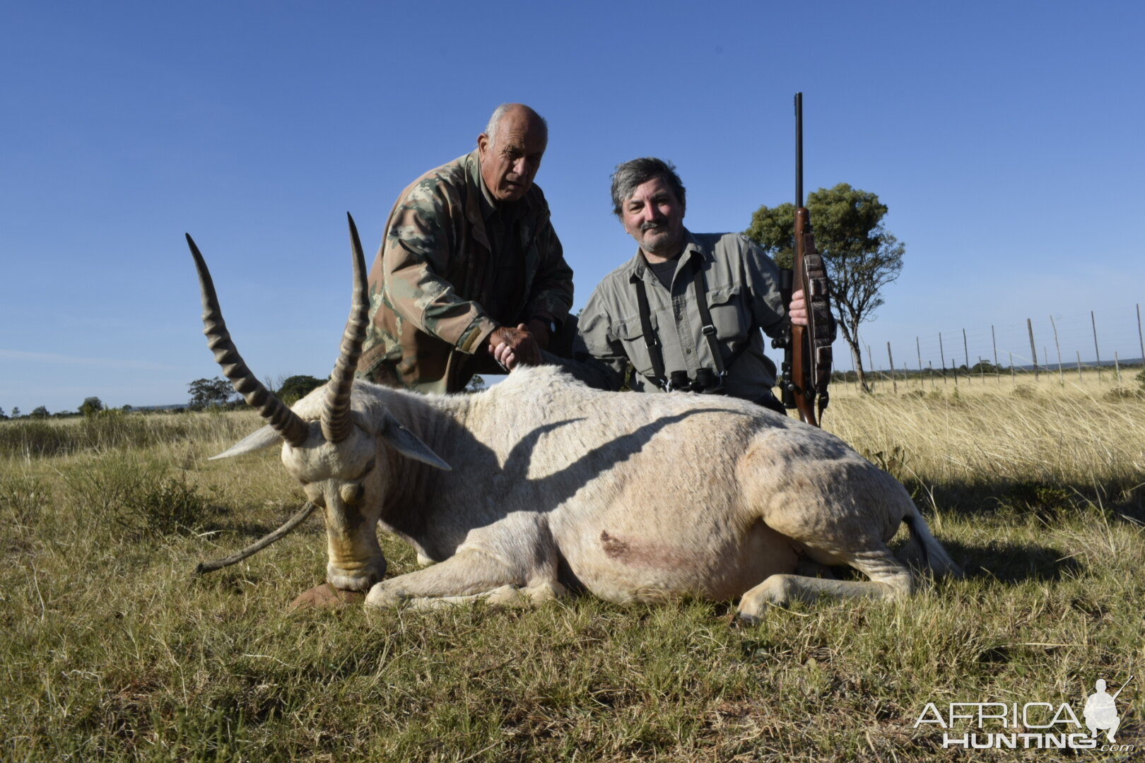 South Africa Hunting White Blesbok