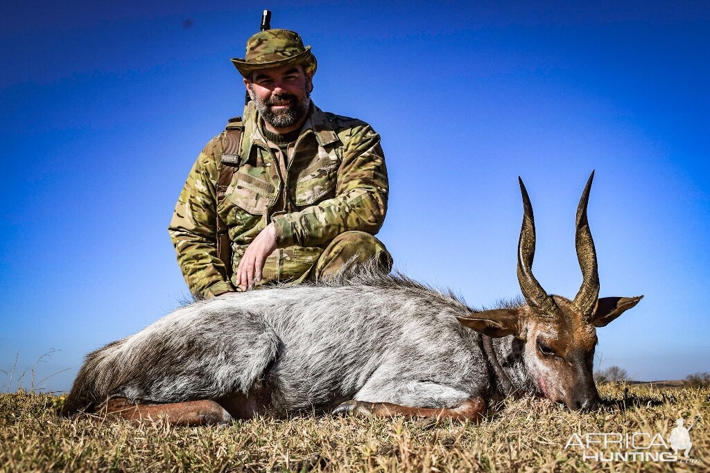 South Africa Hunting "White" Bushbuck