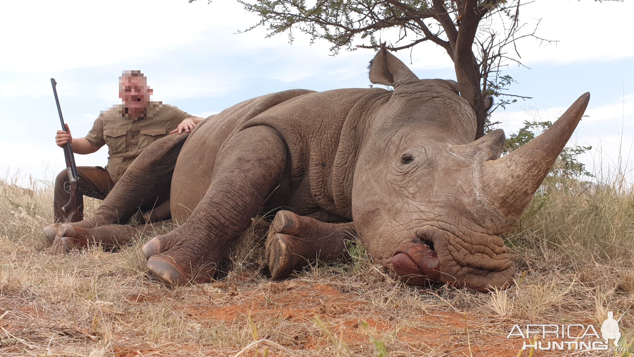 South Africa Hunting White Rhino
