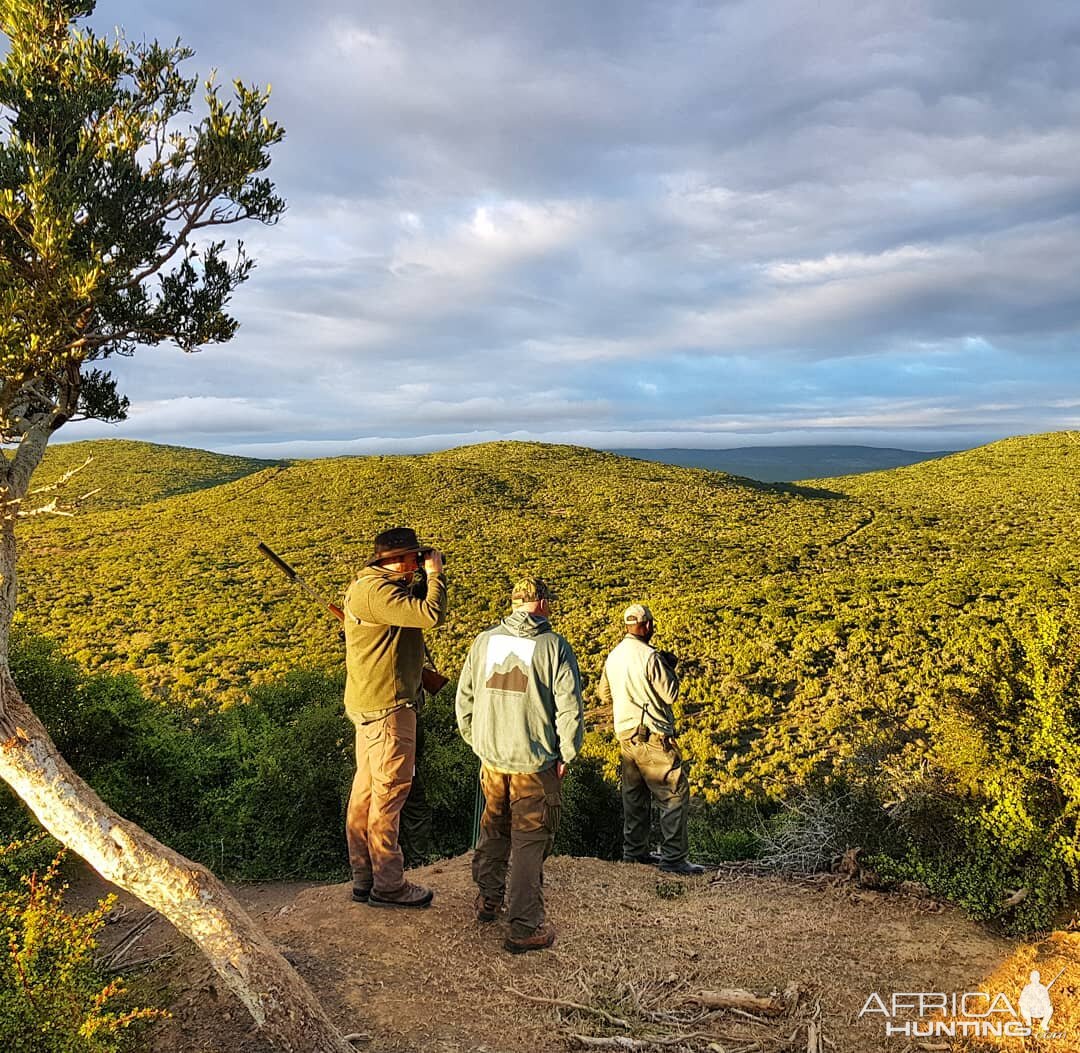 South Africa Hunting