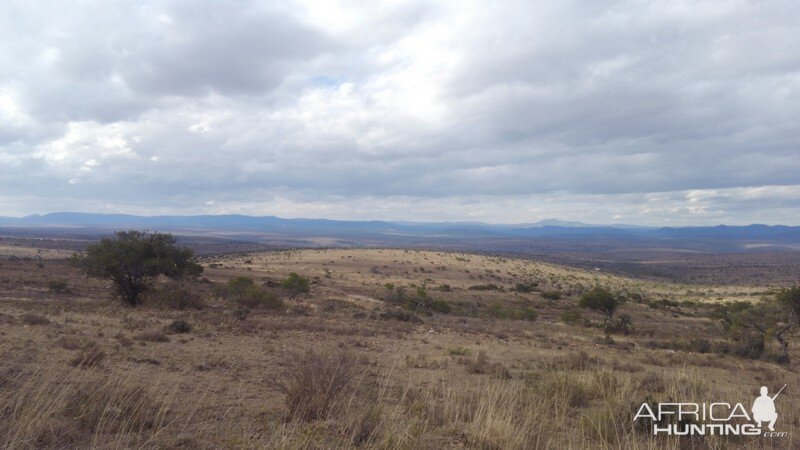 South Africa Hunting