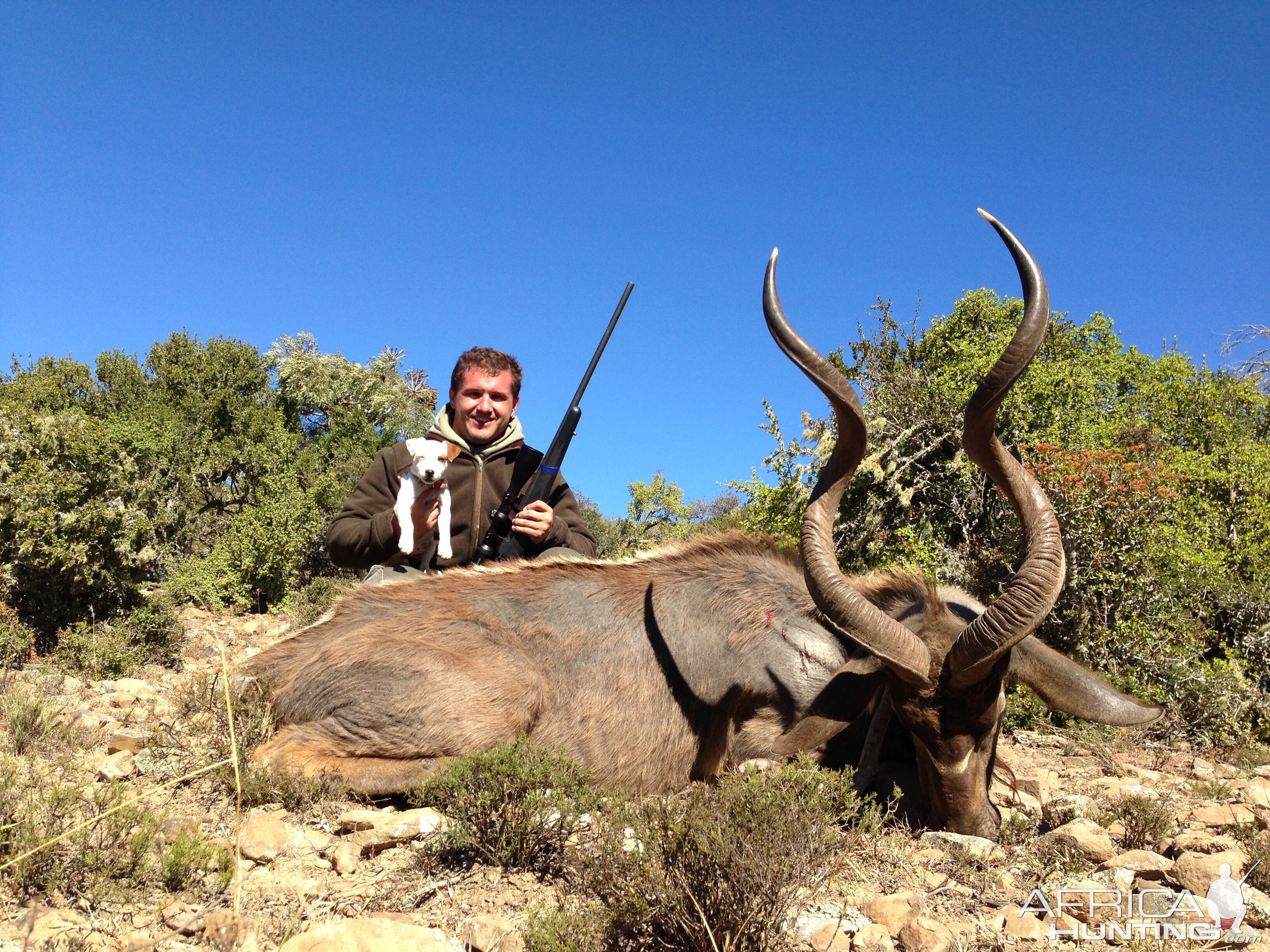 South Africa Kudu Hunting