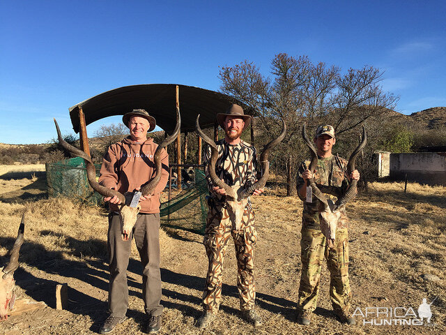 South Africa Kudu Hunting