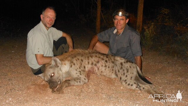 South Africa Spotted Hyena Hunt